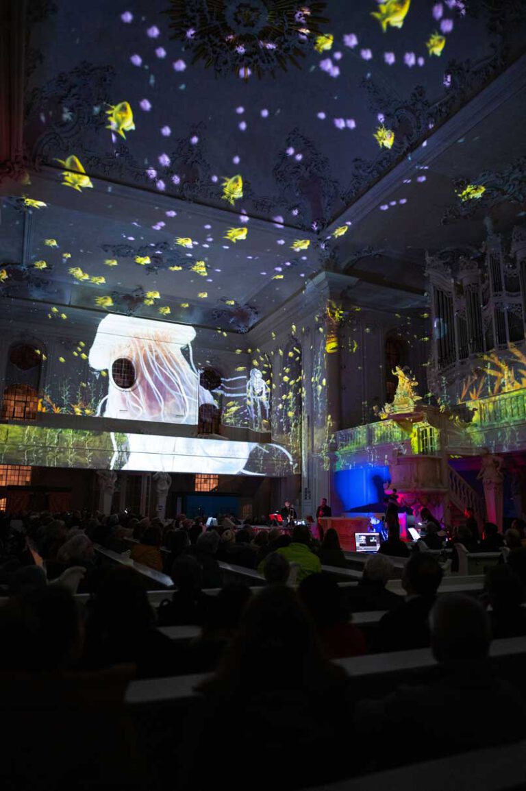 Video Mapping