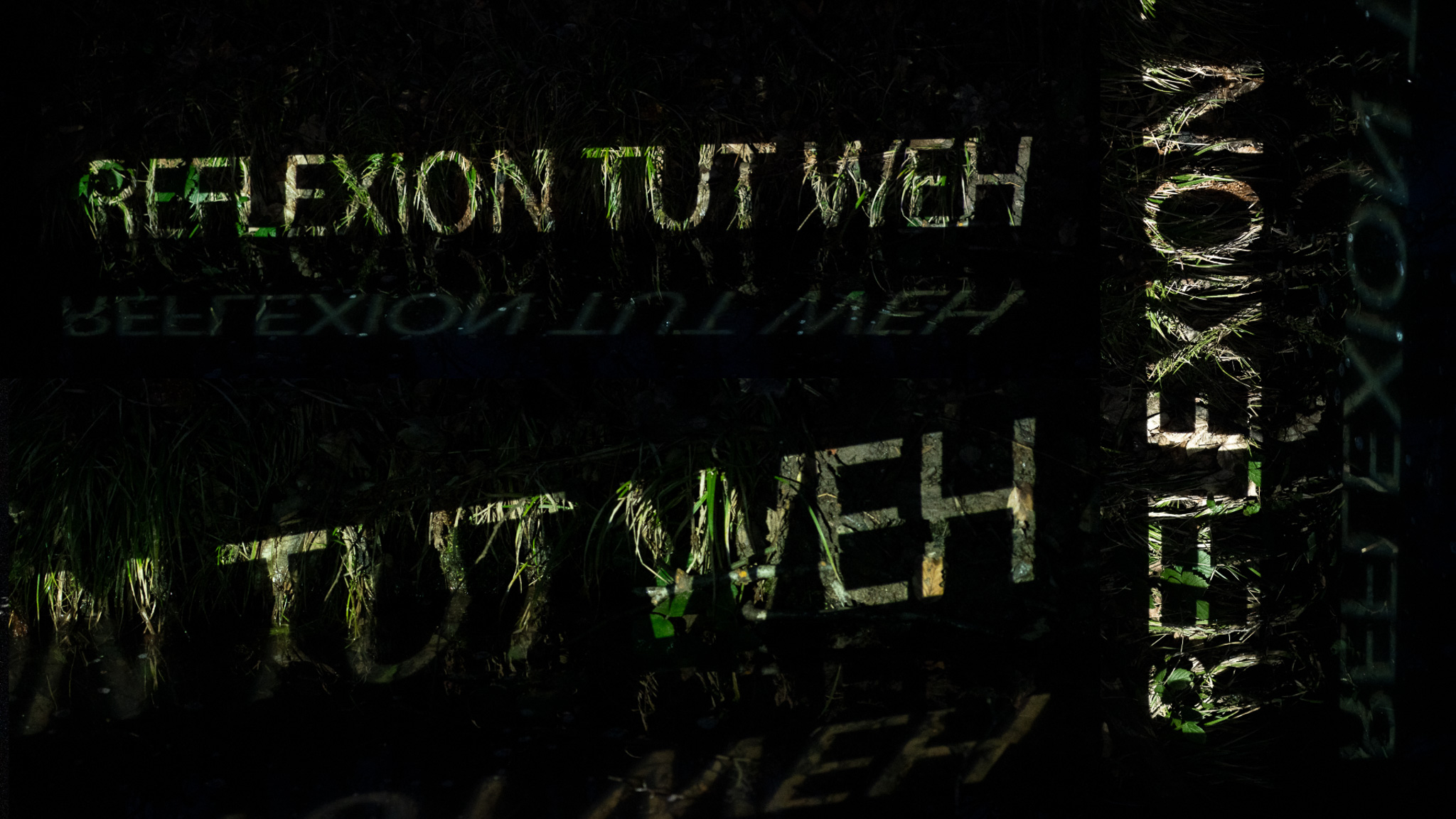 Reflexion_nah